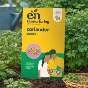 Coriander seeds for home gardening