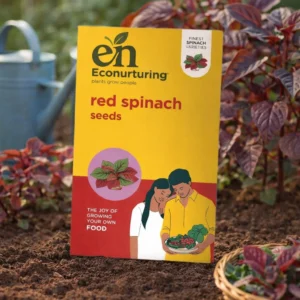 Red Spinach Seeds
