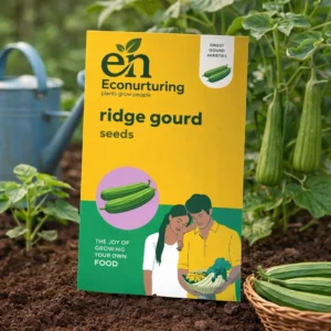 Ridge gourd Seeds