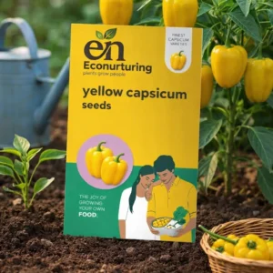 Yellow Capsicum seeds